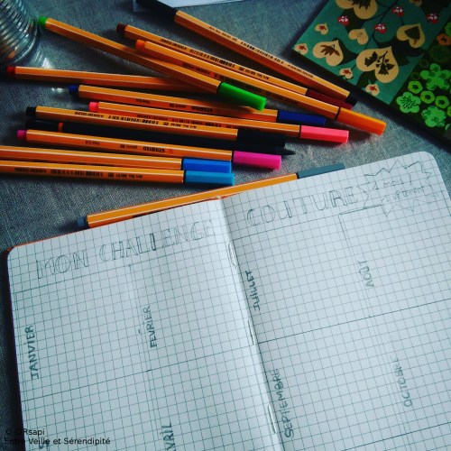 J'ai bien envie de me lancer un challenge couture pour 2017 : 1 mois / 1 vêtement (si possible pour moi 😉) Seul objectif se faire plaisir et faire plus rapidement les projets que j'ai en tête. Y aurait-il des motivées pour m'accompagner ? #challengecouture #bulletjournal #ClRsapiEtSonBullet #couture #cousette Une photo publiée par ClRsapi (@clrsapi) le 22 Nov. 2016 à 7h55 PST